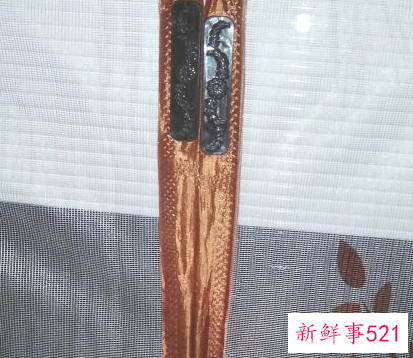 防蚊纱窗门帘怎么安装