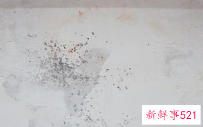 墙体潮湿发霉怎么处理方法