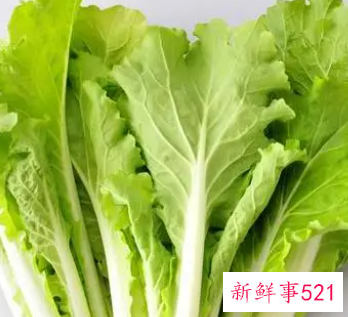 梦见种白菜是什么意思