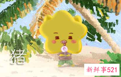 1983年属猪人永远最旺的颜色