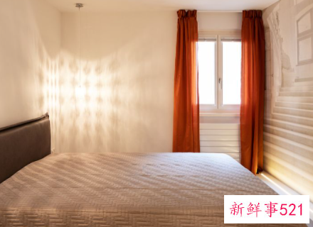 出租房屋合同必须写四条