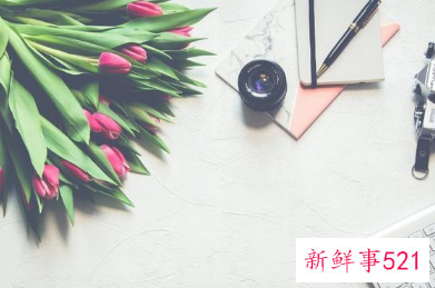 公文写作汇报材料格式