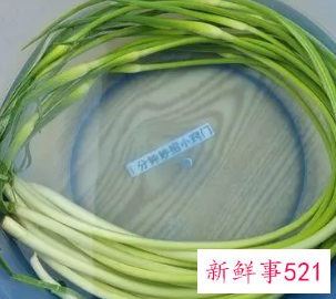 蒜苔放冰箱冷藏保存对吗