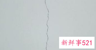 墙体潮湿发霉怎么处理方法