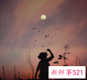 梦见领导跟我一张床睡觉