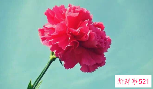 形容知己难求的名言名句