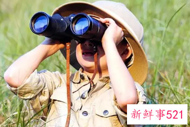 怎样培养孩子的观察力