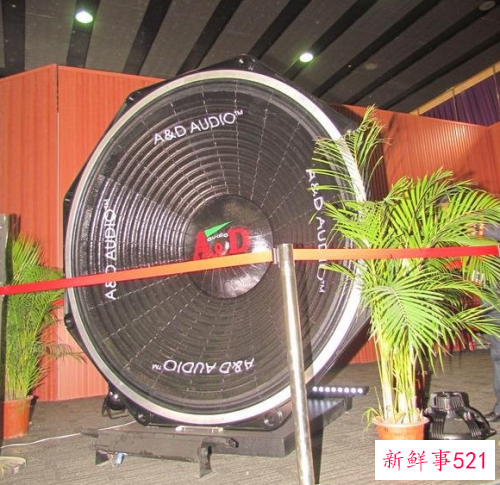 世界上最大的低音喇叭