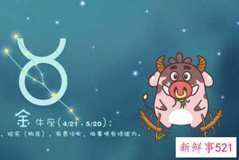 金牛座二区老师的一周