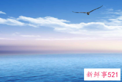 什么是团队精神呢