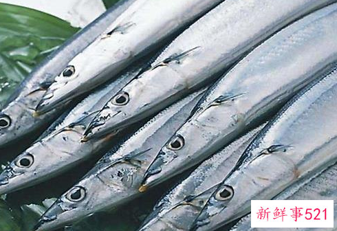 带鱼怎么存放保鲜