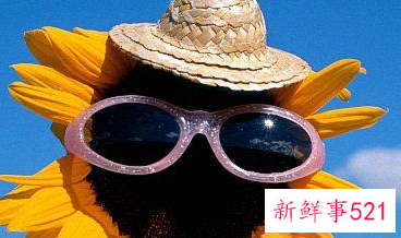 网名大全2022最新版男生