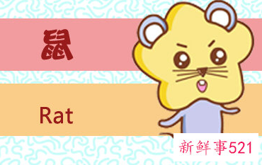 脑子聪明到爆的生肖女