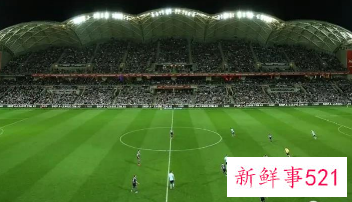 女足世界杯场馆2023简介