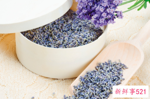 薰衣草的功效和作用