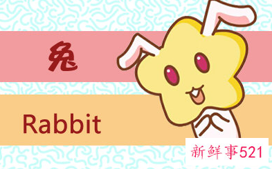 脑子聪明到爆的生肖女