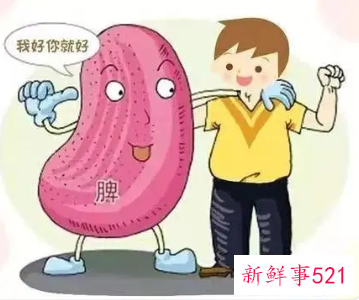 养脾胃最有效的方法