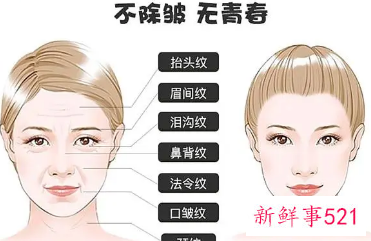 皱纹是怎么形成的