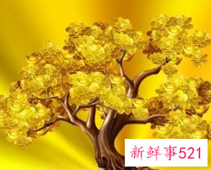 吸金聚财的公司名字四个字