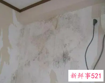 旧房墙面翻新步骤