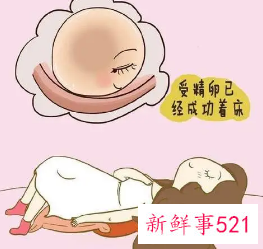 怎么知道自己排卵了图片