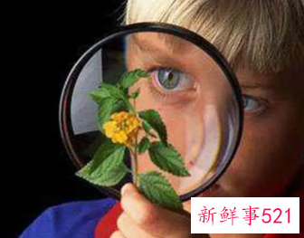 怎样培养孩子的观察力