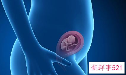 怎么做能提高受孕机率