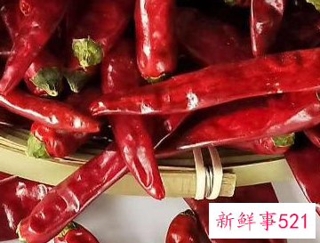 辣椒育苗方法步骤