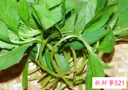 职场孕妇的便当都有什么