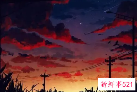 永远得不到快乐星座