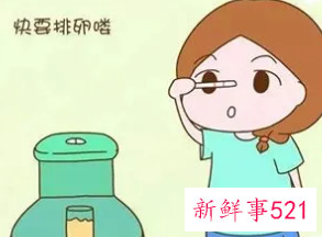 怎么知道自己排卵了图片