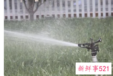 梦见水管喷水是什么预兆