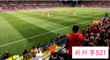 女足世界杯场馆2023简介