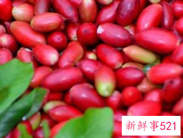 神秘果多少钱一斤