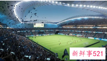 女足世界杯场馆2023简介