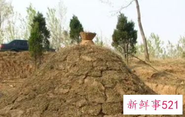 梦见迁坟是什么预兆