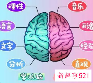 右脑发达的人数学不好吗