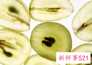 喝葡萄籽粉有什么害处