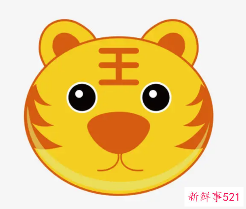 属虎的女人适合做什么行业