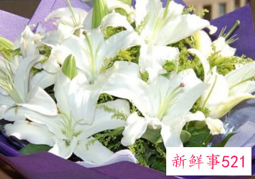 自己过生日送母亲什么花