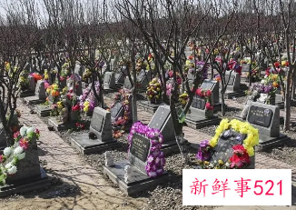 二手平台涌现清明“代哭”服务，收费上千