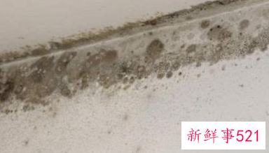 墙体潮湿发霉怎么处理方法