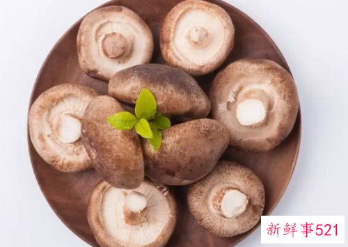 可以天天吃香菇吗