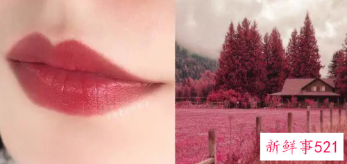 最适合素颜的口红色号