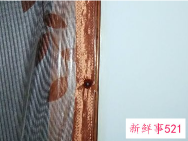 防蚊纱窗门帘怎么安装