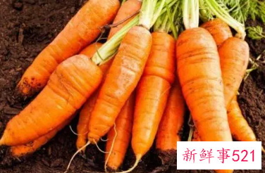 女人吃胡萝卜是不是不好