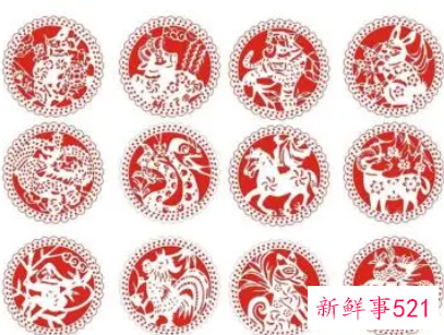 十二生肖吉祥颜色各种颜色代表什么