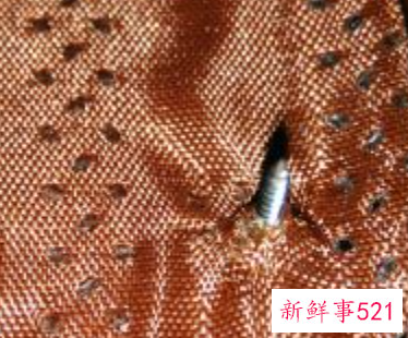 防蚊纱窗门帘怎么安装