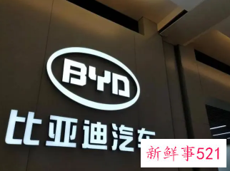 传巴菲特坚持比亚迪，港股大跌12%