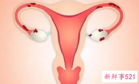 女孩初潮十几天正常吗